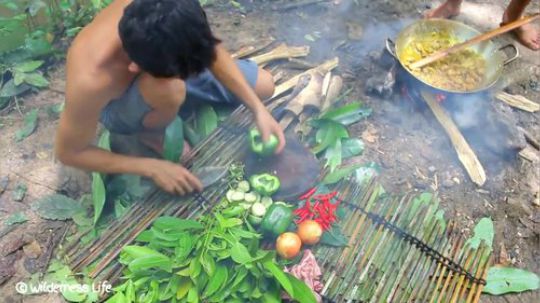 【荒野基友】~基友小哥们的素菜炖牛肉~