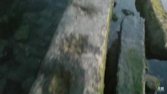 渔家乐，吃臭鱼。 2018-09-09 17点场