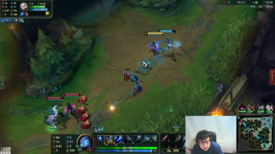 我在斗鱼看东北大鹌鹑直播英雄联盟