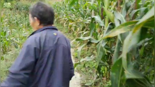 小朋友爱吃可乐鸡翅吗 2018-09-08 16点场