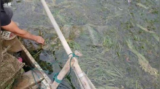 水库美食美景。 2018-09-10 10点场