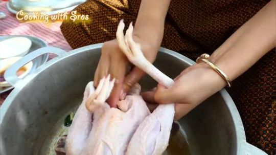 【荒野小姐姐】~野生小姐姐的美味烧全鸡~