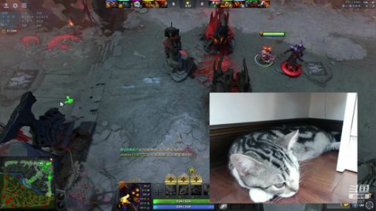 Shadow直播间：单排 2018-09-12 12点场