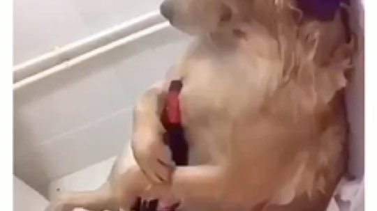 好想尝试下宿醉的感觉