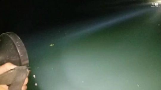 今天全蔬菜。 2018-09-15 19点场