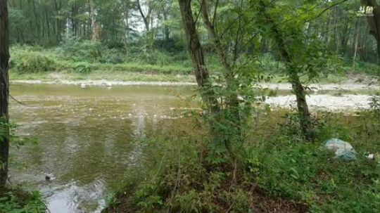 带八总逛逛， 2018-09-15 16点场