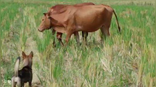 带八总逛逛， 2018-09-15 09点场