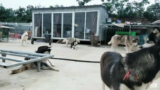 HHHISHHH发布了一个斗鱼视频2018-09-16