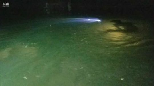 深夜河道潜水捕鱼 2018-09-16 19点场