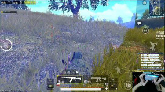 八倍鹰眼，最强压枪，单人四排 2018-09-08 10点场