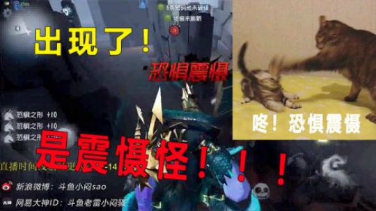 出现了！震慑师！