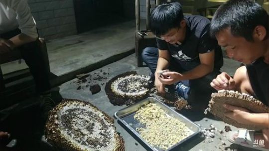 晚8点抽iPhoneXS.5000现金红 2018-09-20 21点场