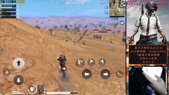 偶遇鱼桑!虽败犹荣！