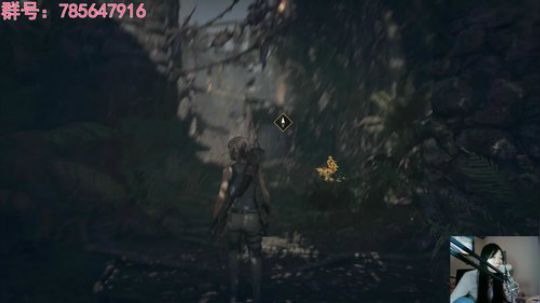 瞳宝:暗影首发~ 2018-09-15 17点场