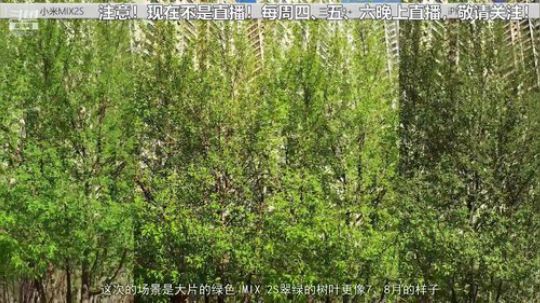 我在斗鱼看科技美学中国直播数码科技