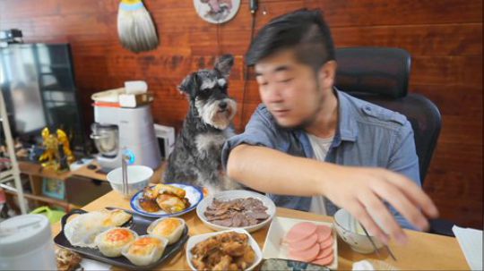 丿Good丶发布了一个斗鱼视频2018-09-24