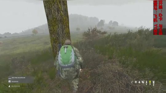 dayz僵尸末日#27 2018-09-23 13点场