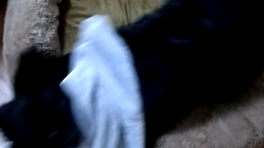 多多新床到了，开始滚床单[发呆][发呆]