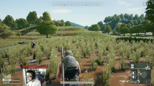 Shadow：娱乐下。！ 2018-09-24 02点场