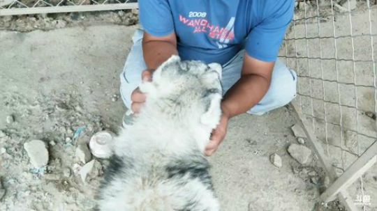 HHHISHHH发布了一个斗鱼视频2018-09-25