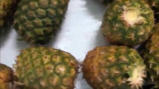 菠萝汁的制作流程--看完后你渴了吗？