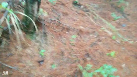 爱冒险的梦，陪你一起疯 2018-09-26 11点场