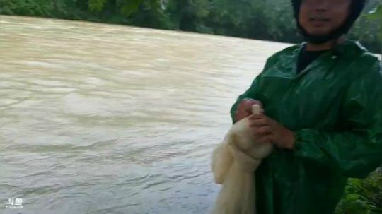 爱冒险的梦，陪你一起疯 2018-09-26 13点场