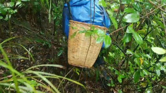 大家小礼物留着。 2018-09-26 10点场