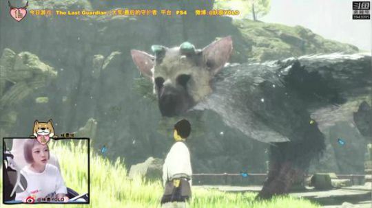 【16】大舅，了解一下！ 2018-09-25 17点场