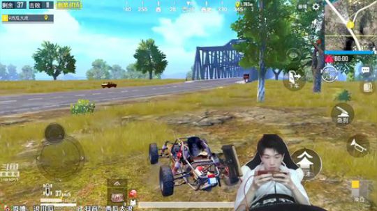 24杀未吃鸡被打懵哈哈哈