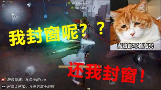 嗯？我封窗呢？我放在这这么大一封窗不见了！