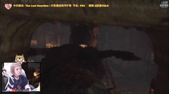 【16】大舅，了解一下！ 2018-09-26 18点场