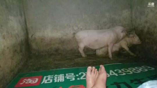 最后一战！必须拿下！抢10点小时榜！ 2018-09-30 00点场