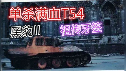 拎大侠坦克世界 匪夷所思黑豹II 眼明脑快T44