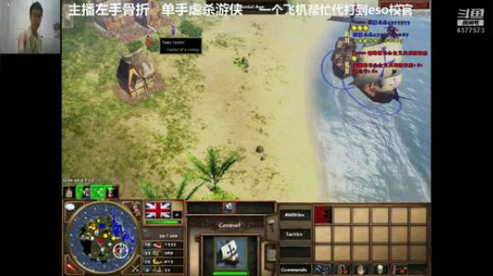海龟