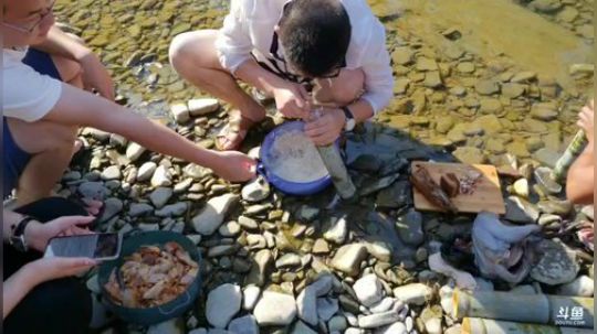 航拍水下摸鱼。 2018-10-04 14点场