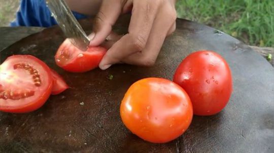 【荒野戏精】~卖盒饭咯~牛腰子炖豆角~