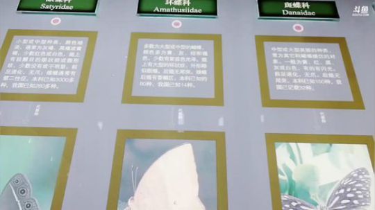 国家动物博物馆 2018-10-02 14点场