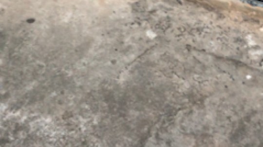 我觉得吧，二炮需要个女朋友