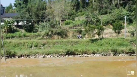 航拍水下摸鱼。 2018-10-04 10点场