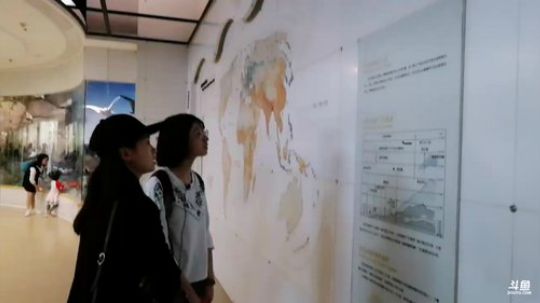 国家动物博物馆 2018-10-02 12点场