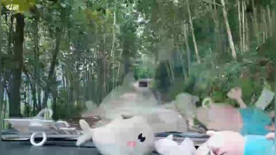 欢迎靓大爷和梦媛过来玩（∩▽∩） 2018-10-04 14点场