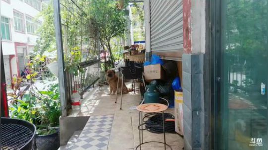 深夜放毒。。 1910856 2018-10-08 12点场