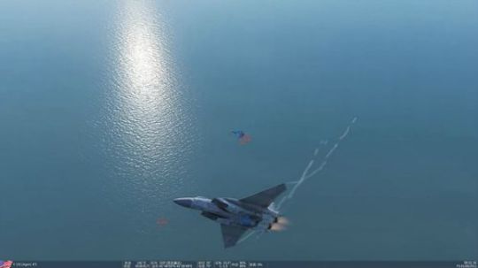 空手套白狼之与敌人Su-33对决