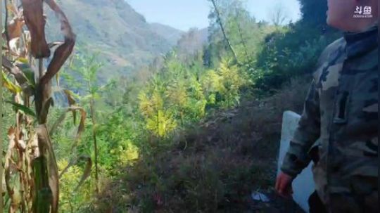 高山人家，乡民的晚餐 2018-10-10 12点场