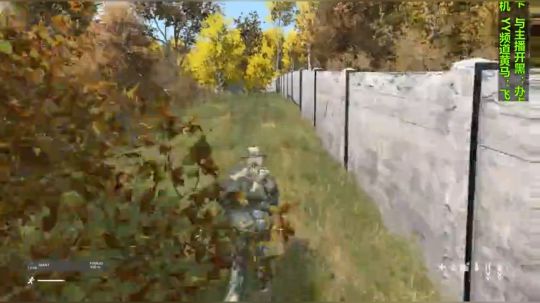这个游戏叫dayz(僵尸末日） 2018-10-11 17点场