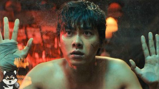 李易峰主演高智商爽片！我来带你们看懂这部《动物世界》