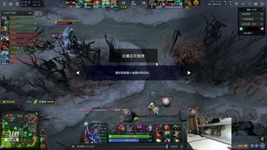 Shadow直播间：猫主播已上线！ 2018-10-13 13点场