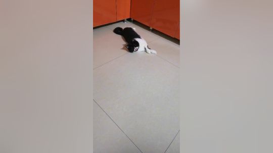 老三撒娇