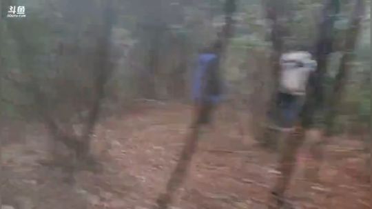 生活第二天，自制蒸笼。 2018-10-13 16点场